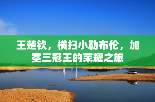 王楚钦，横扫小勒布伦，加冕三冠王的荣耀之旅
