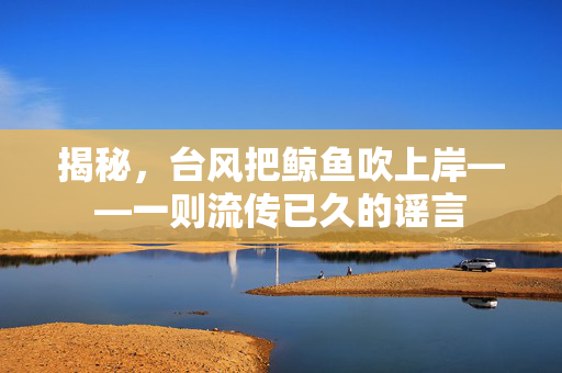 揭秘，台风把鲸鱼吹上岸——一则流传已久的谣言