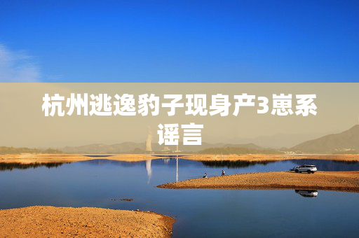 杭州逃逸豹子现身产3崽系谣言