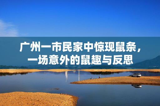 广州一市民家中惊现鼠条，一场意外的鼠趣与反思