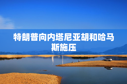 特朗普向内塔尼亚胡和哈马斯施压