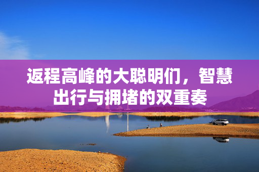 返程高峰的大聪明们，智慧出行与拥堵的双重奏