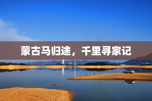蒙古马归途，千里寻家记