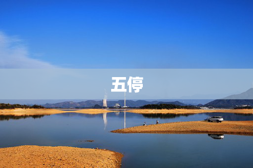 五停