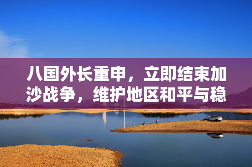 八国外长重申，立即结束加沙战争，维护地区和平与稳定