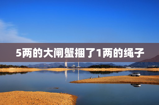 5两的大闸蟹捆了1两的绳子