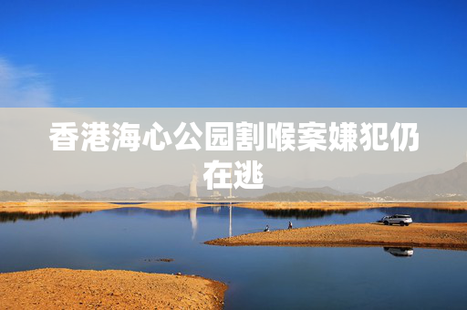 香港海心公园割喉案嫌犯仍在逃