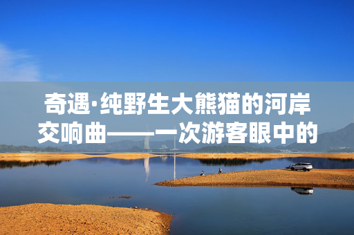 奇遇·纯野生大熊猫的河岸交响曲——一次游客眼中的自然奇迹