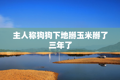 主人称狗狗下地掰玉米掰了三年了