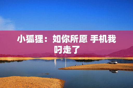 小狐狸：如你所愿 手机我叼走了
