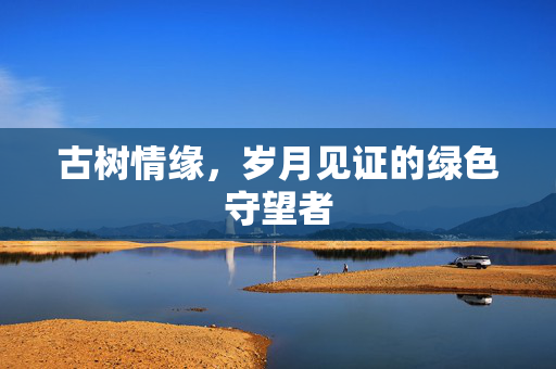 古树情缘，岁月见证的绿色守望者