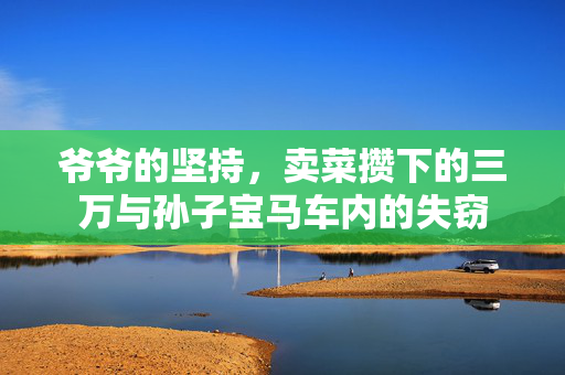 爷爷的坚持，卖菜攒下的三万与孙子宝马车内的失窃