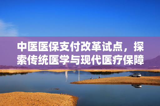 中医医保支付改革试点，探索传统医学与现代医疗保障的融合之路