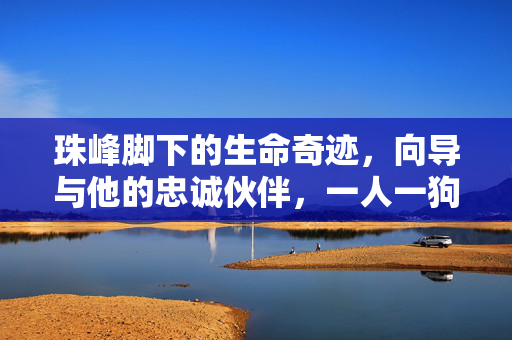 珠峰脚下的生命奇迹，向导与他的忠诚伙伴，一人一狗带领百人安全撤离暴雪