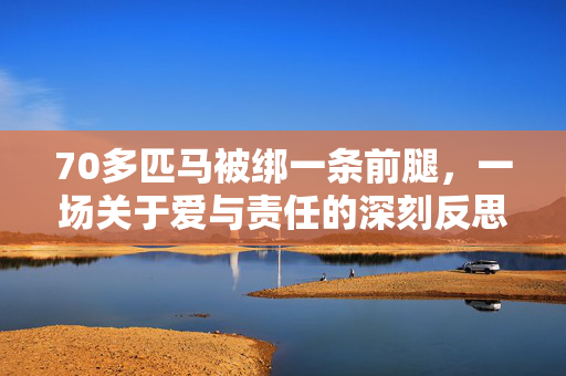 70多匹马被绑一条前腿，一场关于爱与责任的深刻反思