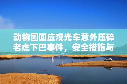 动物园回应观光车意外压碎老虎下巴事件，安全措施与责任反思