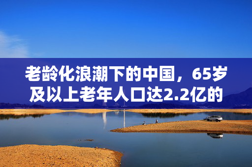 老龄化浪潮下的中国，65岁及以上老年人口达2.2亿的挑战与机遇