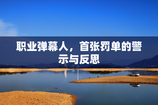 职业弹幕人，首张罚单的警示与反思