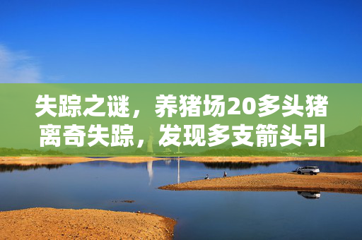 失踪之谜，养猪场20多头猪离奇失踪，发现多支箭头引猜测