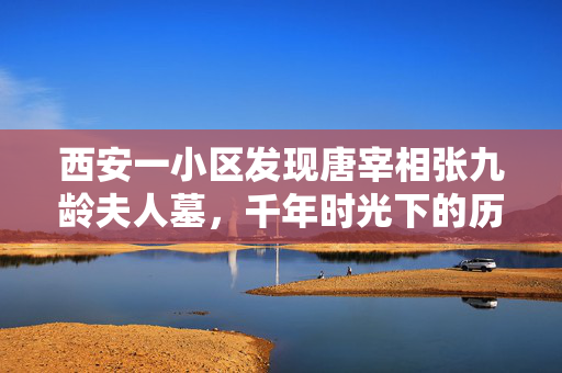 西安一小区发现唐宰相张九龄夫人墓，千年时光下的历史新篇章