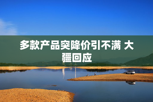 多款产品突降价引不满 大疆回应