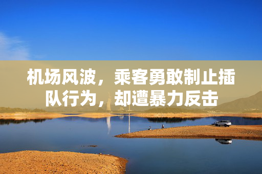 机场风波，乘客勇敢制止插队行为，却遭暴力反击