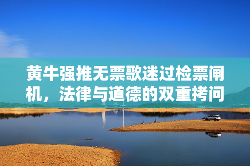 黄牛强推无票歌迷过检票闸机，法律与道德的双重拷问