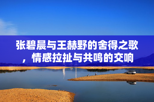 张碧晨与王赫野的舍得之歌，情感拉扯与共鸣的交响