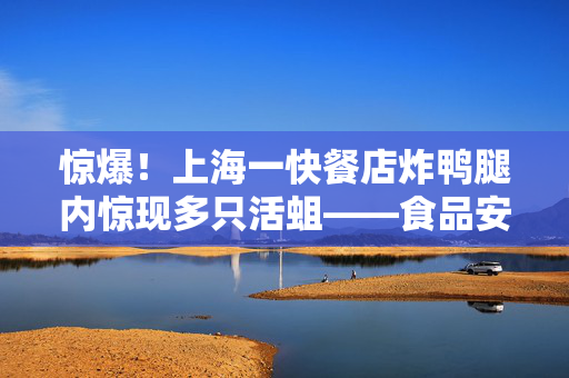 惊爆！上海一快餐店炸鸭腿内惊现多只活蛆——食品安全警钟再响