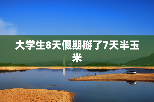 大学生8天假期掰了7天半玉米