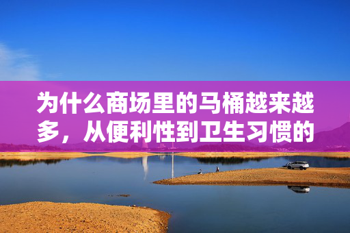 为什么商场里的马桶越来越多，从便利性到卫生习惯的革新