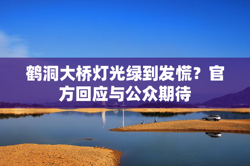 鹤洞大桥灯光绿到发慌？官方回应与公众期待
