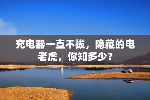 充电器一直不拔，隐藏的电老虎，你知多少？