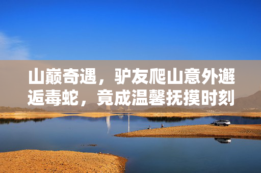 山巅奇遇，驴友爬山意外邂逅毒蛇，竟成温馨抚摸时刻