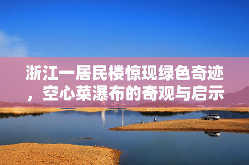 浙江一居民楼惊现绿色奇迹，空心菜瀑布的奇观与启示