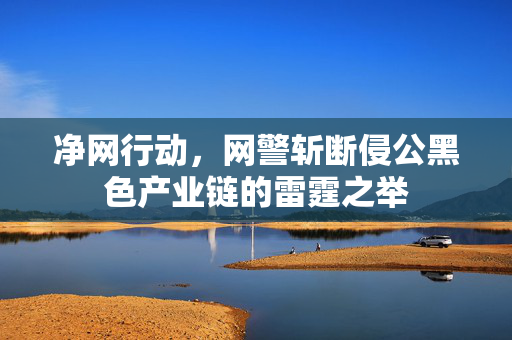 净网行动，网警斩断侵公黑色产业链的雷霆之举