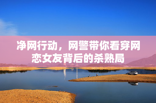 净网行动，网警带你看穿网恋女友背后的杀熟局