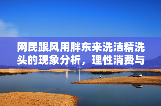 网民跟风用胖东来洗洁精洗头的现象分析，理性消费与网络风潮的碰撞