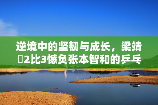 逆境中的坚韧与成长，梁靖崑2比3憾负张本智和的乒乓对决解析