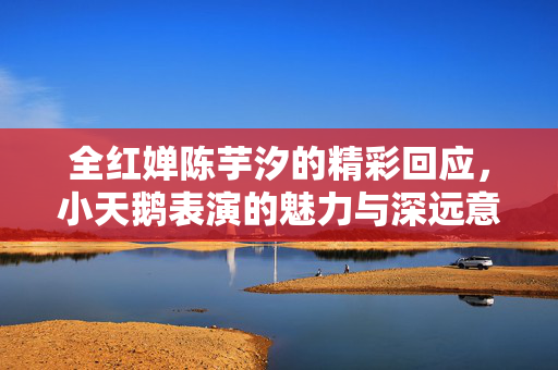 全红婵陈芋汐的精彩回应，小天鹅表演的魅力与深远意义
