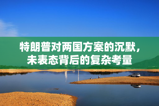 特朗普对两国方案的沉默，未表态背后的复杂考量