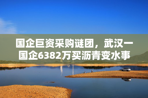 国企巨资采购谜团，武汉一国企6382万买沥青变水事件深度剖析
