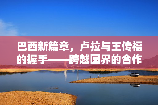 巴西新篇章，卢拉与王传福的握手——跨越国界的合作与友谊