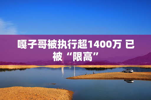 嘎子哥被执行超1400万 已被“限高”