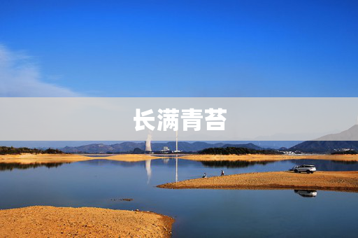 长满青苔