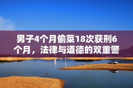 男子4个月偷菜18次获刑6个月，法律与道德的双重警醒