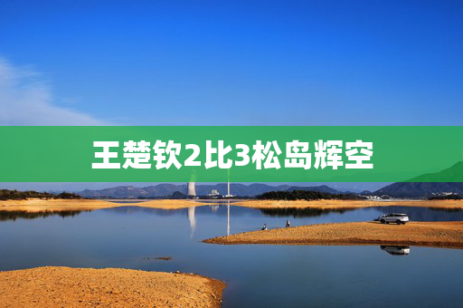 王楚钦2比3松岛辉空