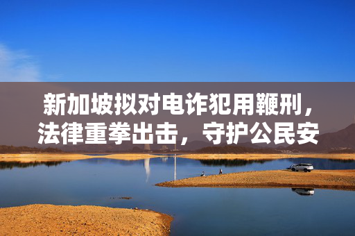 新加坡拟对电诈犯用鞭刑，法律重拳出击，守护公民安全与尊严