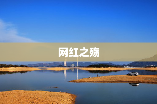 网红之殇