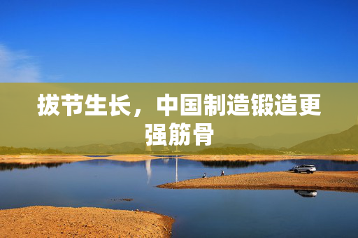 拔节生长，中国制造锻造更强筋骨